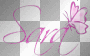pink sara butterfly
