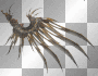 fantasy wing right