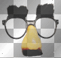 groucho glasses 