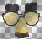 groucho glasses