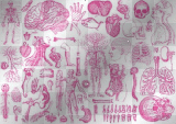 pink body parts