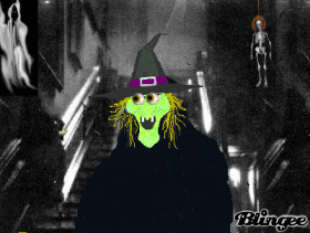 boo