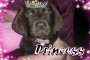 Princess Hannah