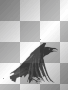 crow