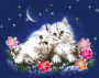 chats