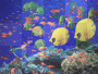 ocean