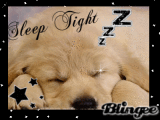 sleep tight