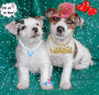 Puppies in Love