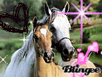 Chevaux
