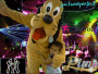 patry with pluto
