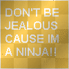 ninja