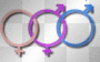 Bi Luv