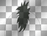 mohawk hair