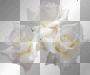 Glitter White Rose
