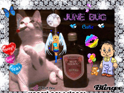 new year jbug new year jbug