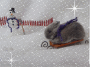 "Look out! Bunny come down the slopes!"