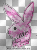 Playboy Bunny