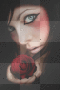 girl mit rose girl mit rose