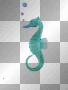 seahorse