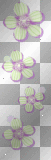 Animated Purple & Green Flowers  :-}