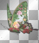 rose butterfly! rose butterfly!
