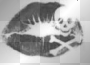 Skull Lips