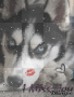 WOLFY