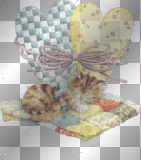 adorable chat