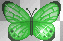 Animated Cute Green Butterfly