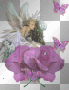 ange de la rose ange de la rose