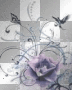 purple rose design purple rose design