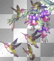 hum birds