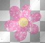 flower flower