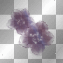 Purple flower