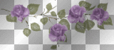 Purple Roses Divider  ;-}