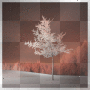 Natur