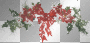 zima  winter christmas xmas