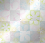 flower rainbow flower rainbow