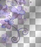 Transparent Purple Border
