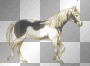 chevaux au trot