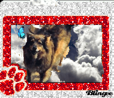 foxy rosa ( rip ) cornica middle school