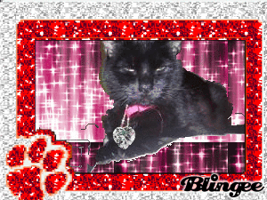 clairabell cornica middle school