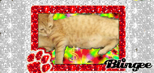 emmett cornica middle school