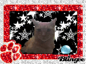 sunni morriz cornica middle vschool