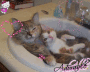 Adorable Mum and Bub Adorable Mum and Bub
