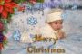 seasons greetings