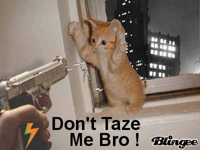 Don't taze me Bro !!! Picture #42057827 | Blingee.com