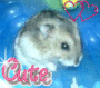 Hammie