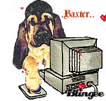 Baxter