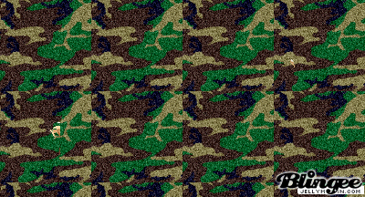 military